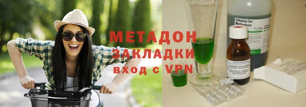 индика Аркадак