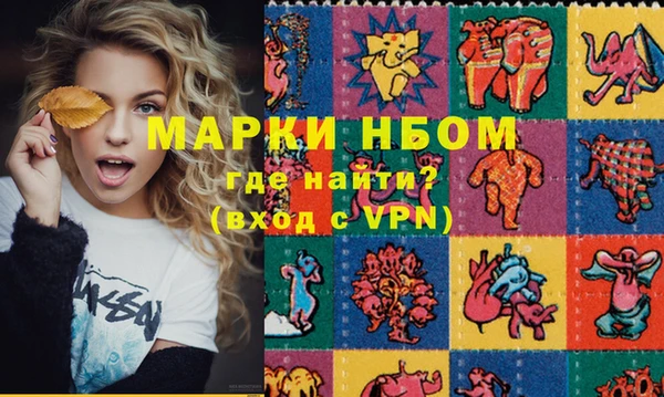 индика Аркадак