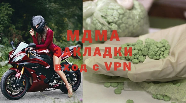 индика Аркадак