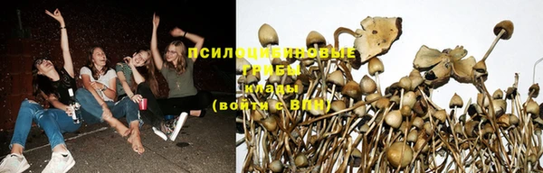 соль курить ск Армянск