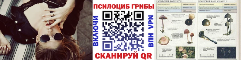 Галлюциногенные грибы Cubensis  гидра онион  Рыбинск 